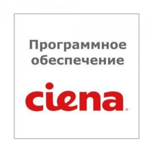 Лицензия для сетевого оборудования Ciena Site Manager RTU NT6Q90ZA